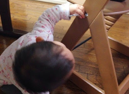 ダイニングテーブル用椅子