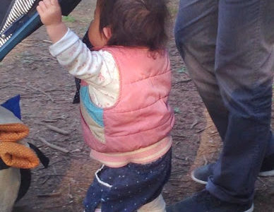 今日も絶賛お手伝い中