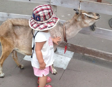 動物園へ行ってきた