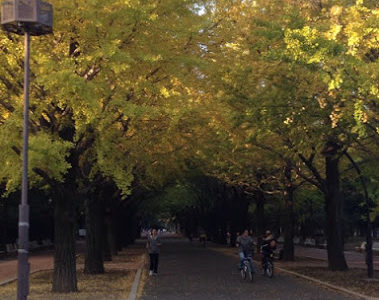 せっかくなので公園を散歩してみた！