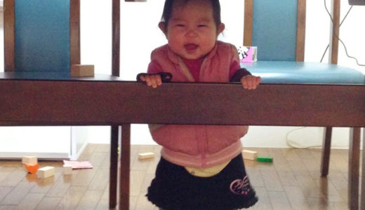 今日は一日お家にいました