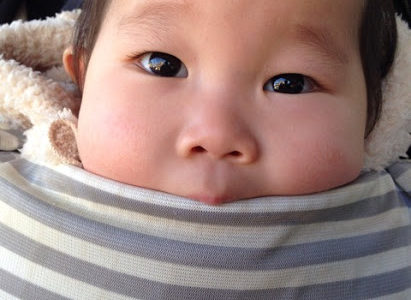 一年間、ありがとうございました