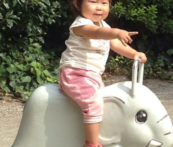 北海道に帰省してきます♪