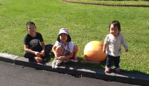 北海道に行ってきた！