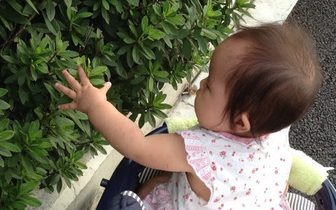 最近の娘の散歩風景