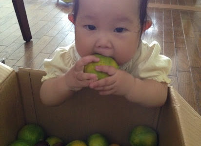 実家からみかんが届いた！！