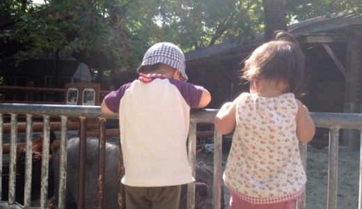 動物園に行ってきた！