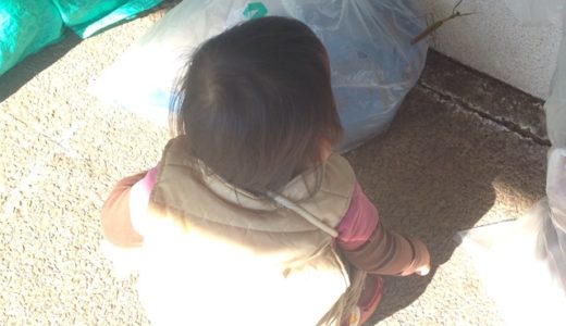 カマキリに興奮！&　娘語録