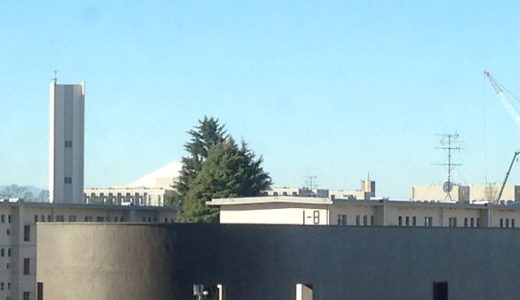 富士山が見えた！