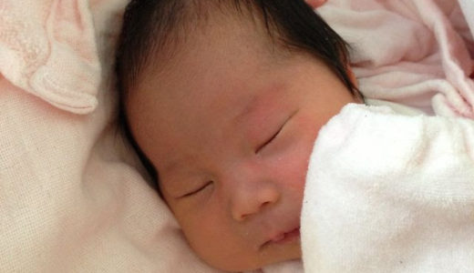 今年も今日でおしまい