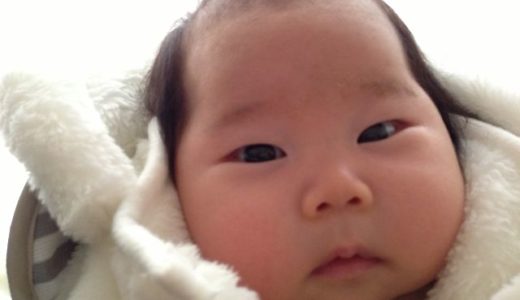 春一番でお散歩できず・・お部屋の中でお散歩してます