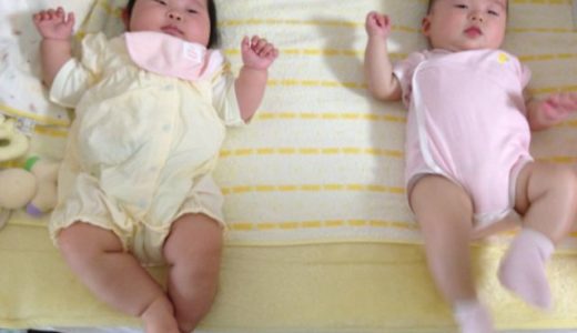 お嬢が遊びにきてくれました♪