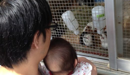 初めてのこども動物園♪
