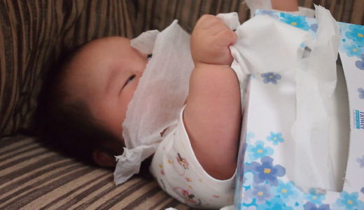 ティッシュが！？