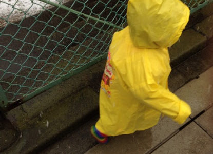 雪が降りました