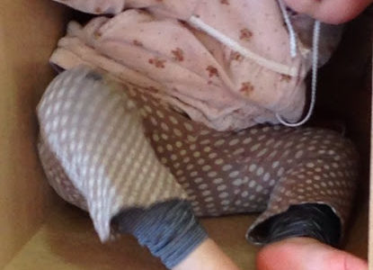 荷物に紛れて・・