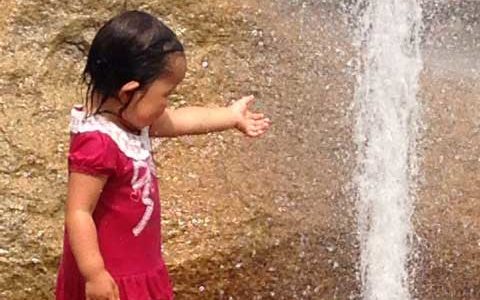 木陰がいい・・