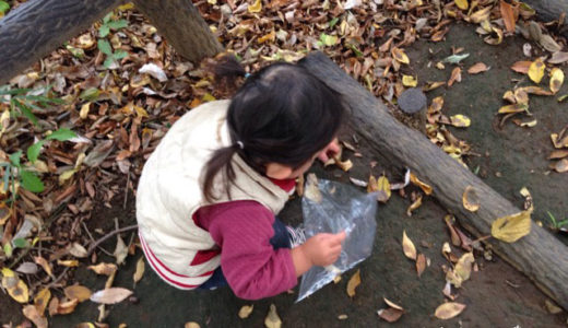 秋がきましたね