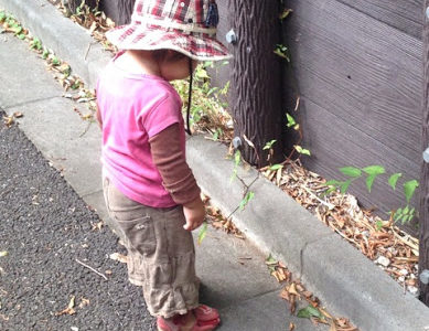 どんぐりころころ