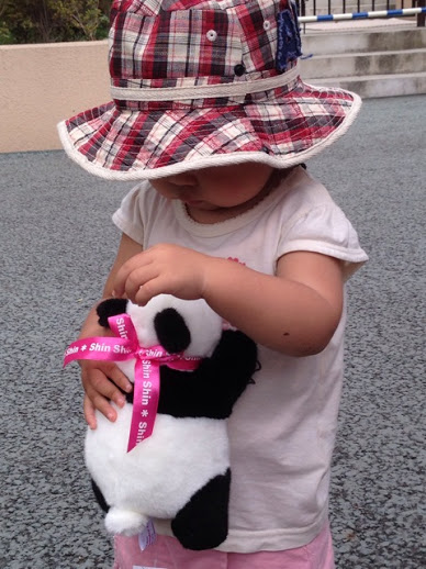 パンダと戯れる娘