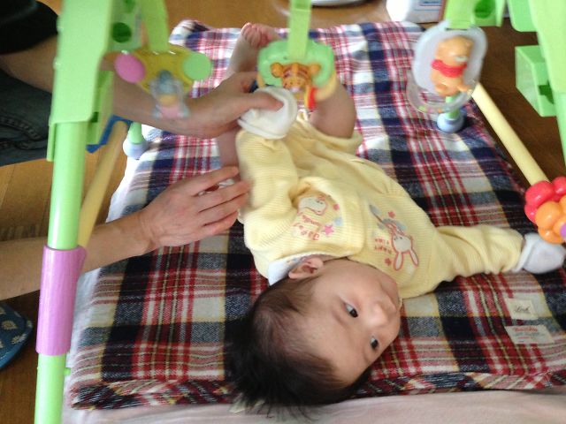 まめた君の写真