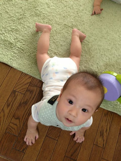 まめた君の写真