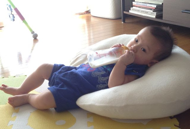 まめた君の写真