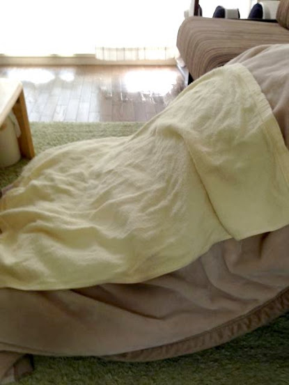 タオルをのせた写真