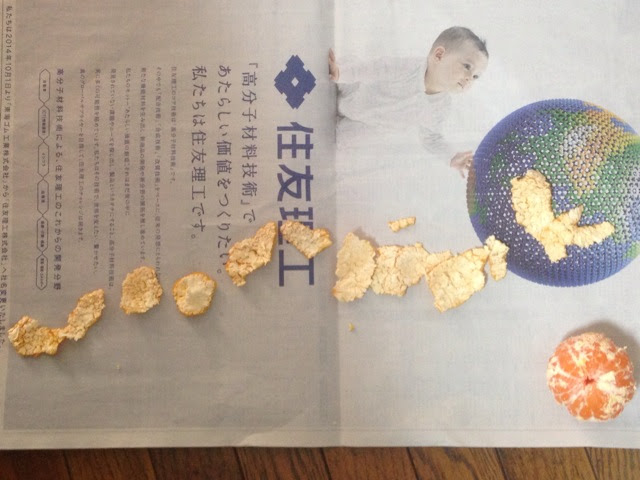 みかんの皮の写真