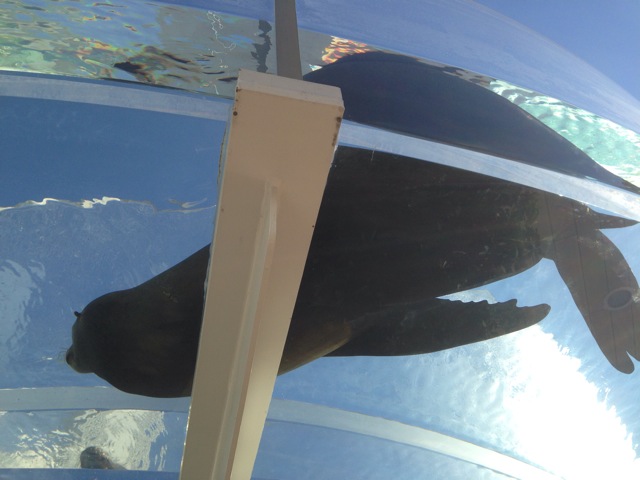 水族館での写真