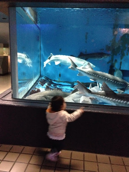 水族館の写真